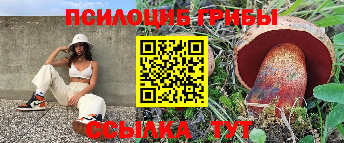Галлюциногенные грибы MAGIC MUSHROOMS  Галлюциногенные грибы Magic Shrooms  купить   Осинники  Вход с VPN 